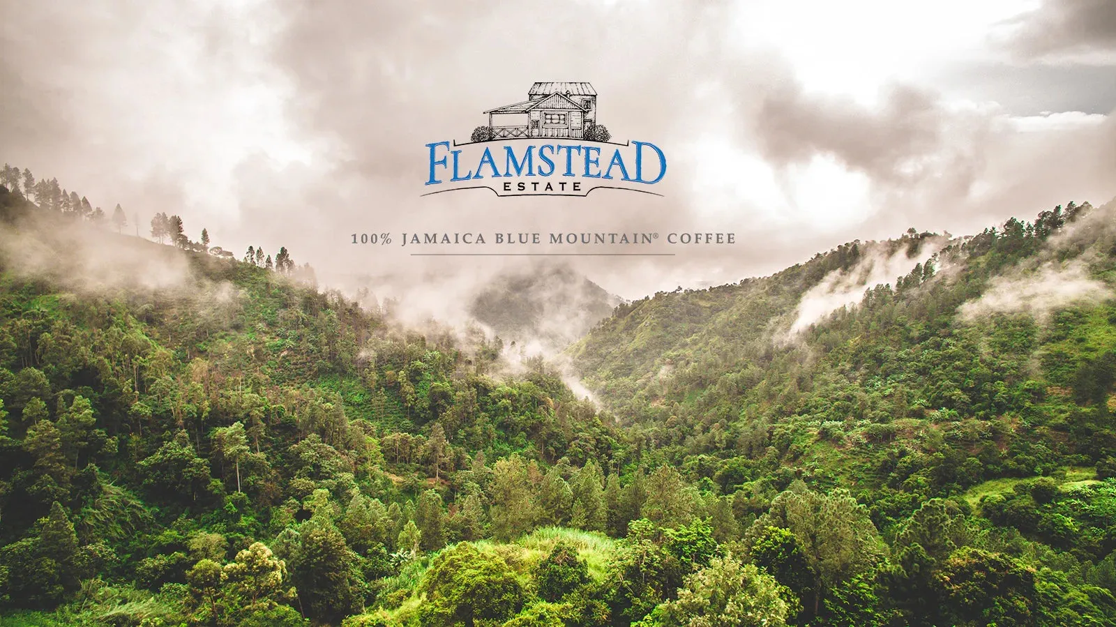 Jamaica Blue Mountain | Flamstead Estate| Peaberry Grade 1 Washed